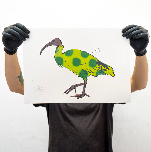 Bin Chicken Stencil 'Funky Chicken Green'