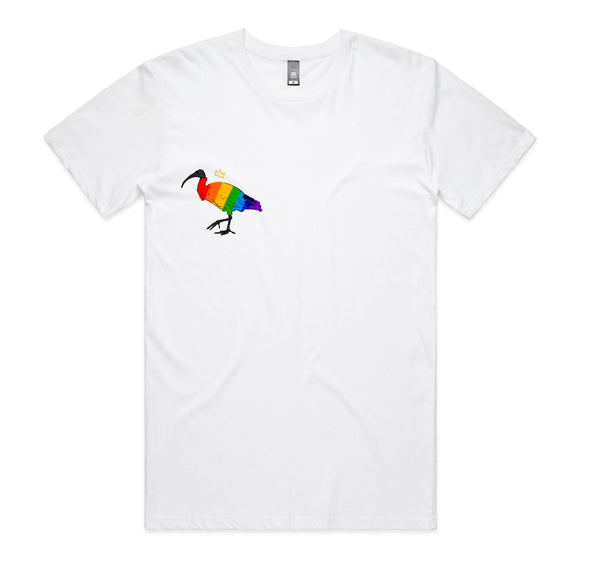 Bin Chicken rainbow - T-shirts